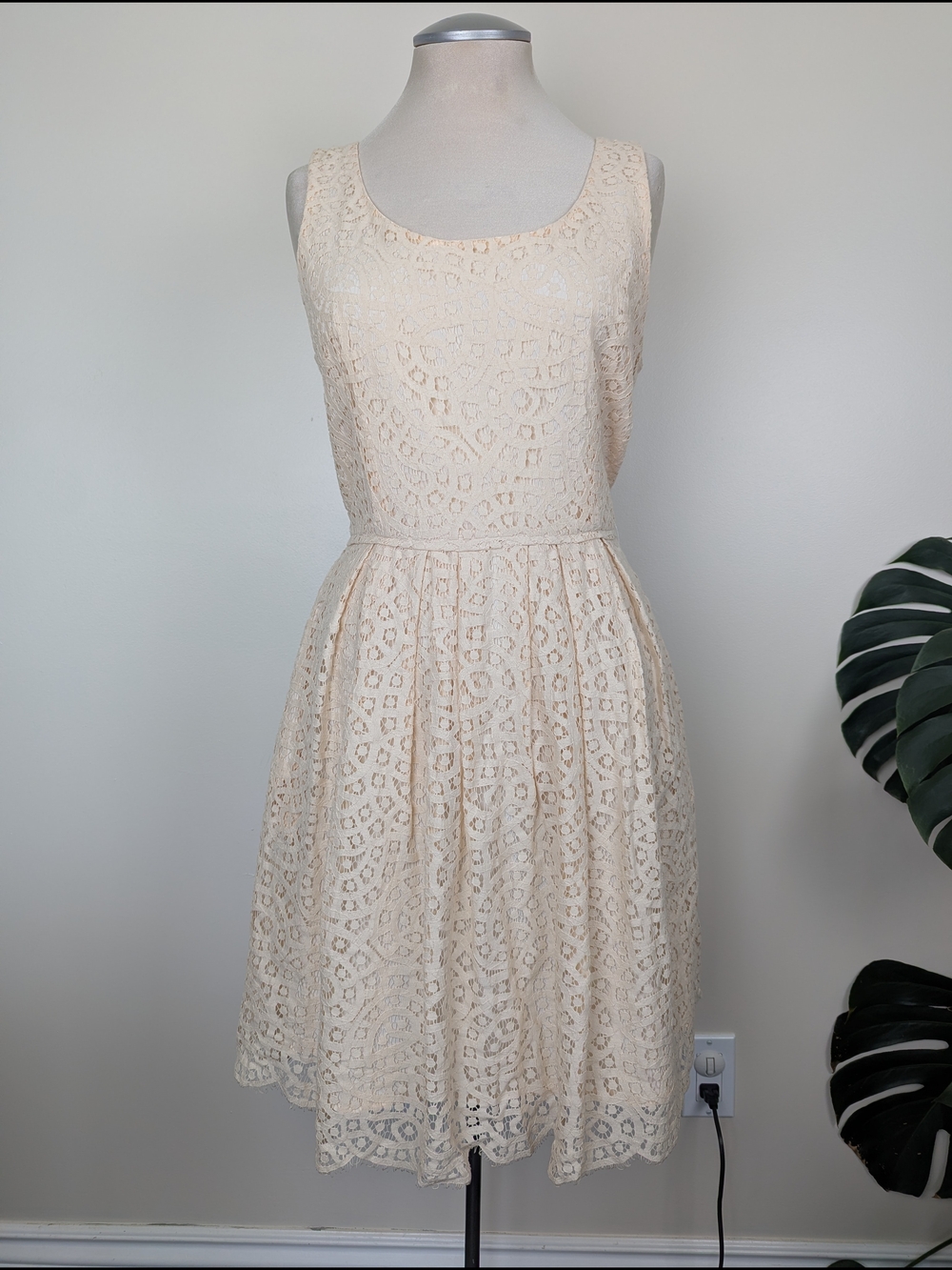 J. Crew Sleeveless Swirling Lace Pleated Fit & Flare Dress Cream/Blush W/Pockets